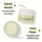 20g Plant stem cells Vitamins E & A Collagen Lip Butter