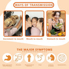 Sciatica Pain Relief Brace with Adjustable Knob and 2 Versions Pressure Pad for Max Sciatica Nerve, Lower Back & Hip Pain Relief