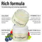 20g Plant stem cells Vitamins E & A Collagen Lip Butter